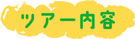 ツアー内容